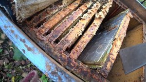 КАК ПОДСИЛИТЬ МАЛЕНЬКИЙ ОТВОДОК В ЗИМУ ПЧЕЛОЙ ИЗ СОСЕДНЕГО УЛЬЯ.