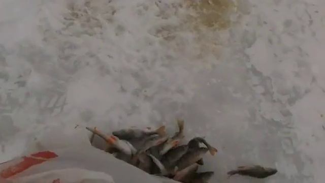 Ливны зимняя рыбалка смотреть онлайн