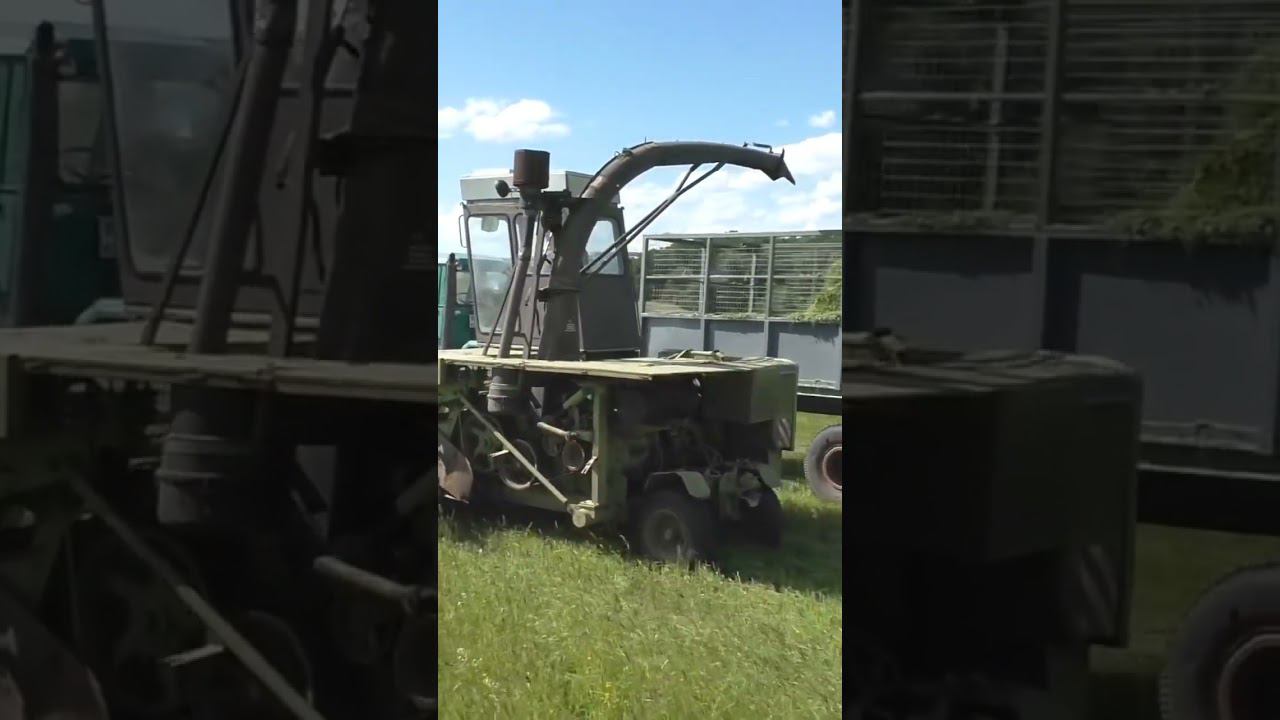 ХТА 200 и Е 303 на заготовке зелёнки! #комбайн #трактор #лето #трава #трактор смотреть онлайн
