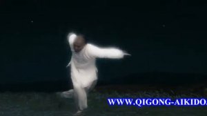 Ван Фу Бао Цигун Київ - Wan Fu Bao Qigong Kyiv (Part 4) WWW.QIGONG-AIKIDO.ORG