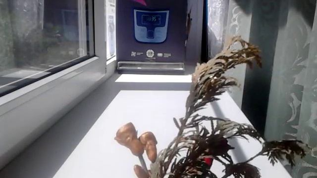 Ваза из пластилина!!!!!!!!!!! Выпуск 2 смотреть онлайн