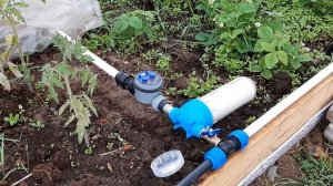 Автоматический полив в теплице с таймером подачи воды своими руками.