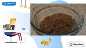 Шоколадный чизкейк без выпечки. Блюдо рецепт
