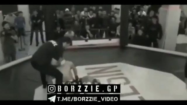 29 октября 2019 г.