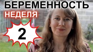 БЕРЕМЕННОСТЬ НЕДЕЛЯ 02.mp4