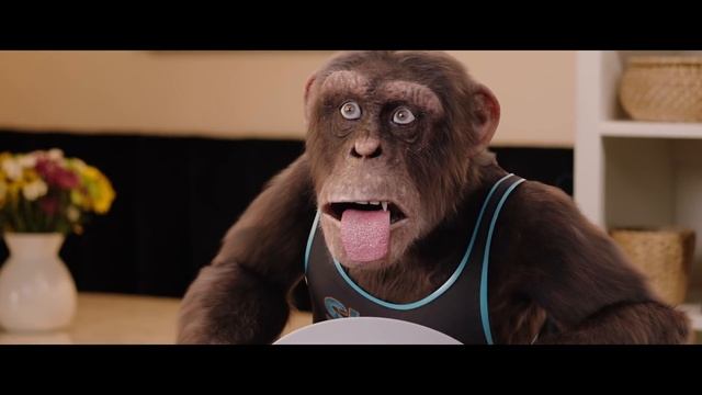 Шимпанзе под прикрытием (C.I.Ape) (Трейлер, Trailer)