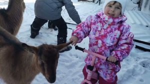 Мороз и солнце - день чудесный ❄️☀️/Готовимся к Артура Дню Рождения