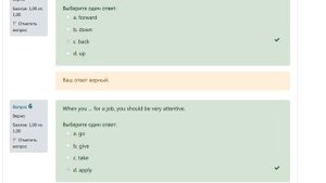 Иностранный язык в профессиональной сфере  (РОСНОУ)