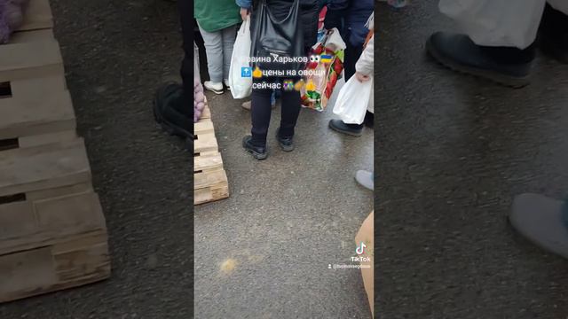 #украина #харьков #цены на овощи 👀👫🔝🇺🇦🤗👍#подписка😍 #лайк #х #хо #f #kharkiv #ukraine #хочувтоп #х смотреть онлайн