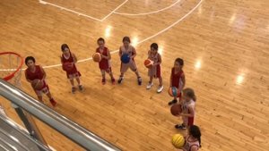 СШОР1 Калининского района СПБ. Баскетбол. Девочки 2011 года рождения.