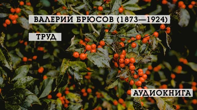 Труд | Валерий Брюсов | Стихотворения | аудиокнига смотреть онлайн