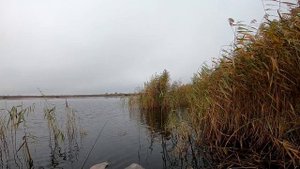 РЫБАЛКА НА ПОПЛАВОК В ОКТЯБРЕ! РЫБАЛКА НА ЖИВЦА