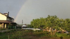 #74 Cажаем арбузы на своей бахче на Кубани.