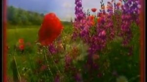 Мы  уходим...  wmv