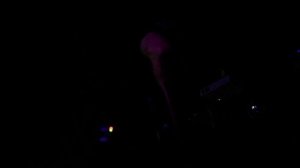 Ed Kowalczyk - Beginning of Encore - Lakini's Juice - Evanston Space - 10.25.2015