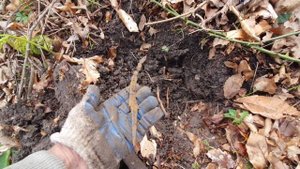 Вышел на коп в горы нашёл интересное место Тут кто то жил