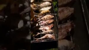 Ставрида на мангале...25.05.2020