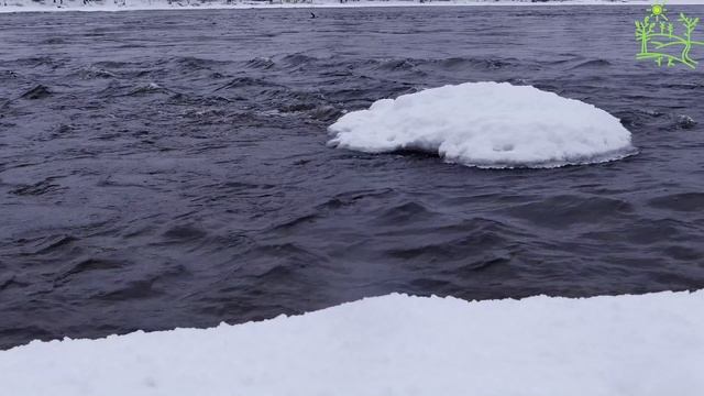 Зимняя река Охлаждающее видео жарким летом Морозная свежесть Живая природа