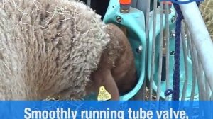 Поилка для овец модель 370