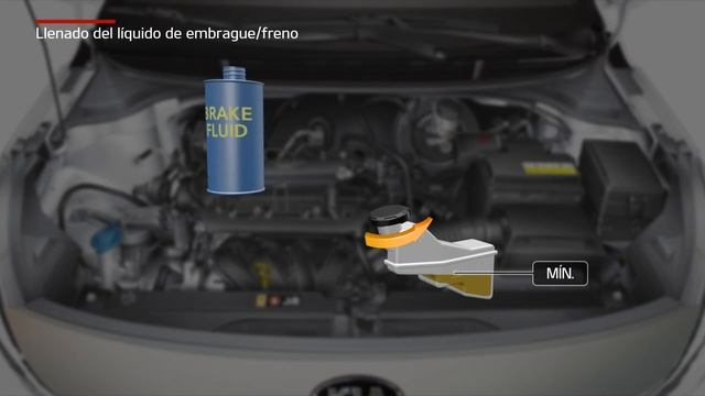 Rio - Llenado del líquido de embrague/freno (For Spain) смотреть онлайн