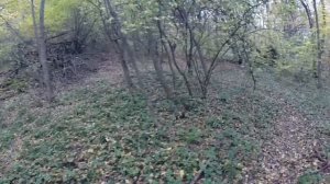 Лаго-Наки| грот Крыло Ангела| водопад Кутанки | скала Монах| Ищем тропы в осеннем лесу