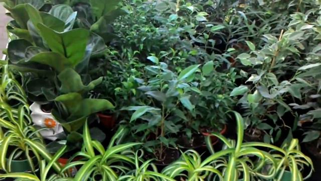 Прекрасное в OBI смотреть онлайн