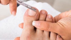 Что творит денежное дерево / толстянка лечебные свойства #пользатолстянки #денежноедерево #крассула