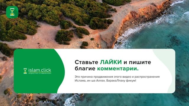 Принятия Ислама не освобождает от изучения Таухида | Шейх Абу Яхья смотреть онлайн