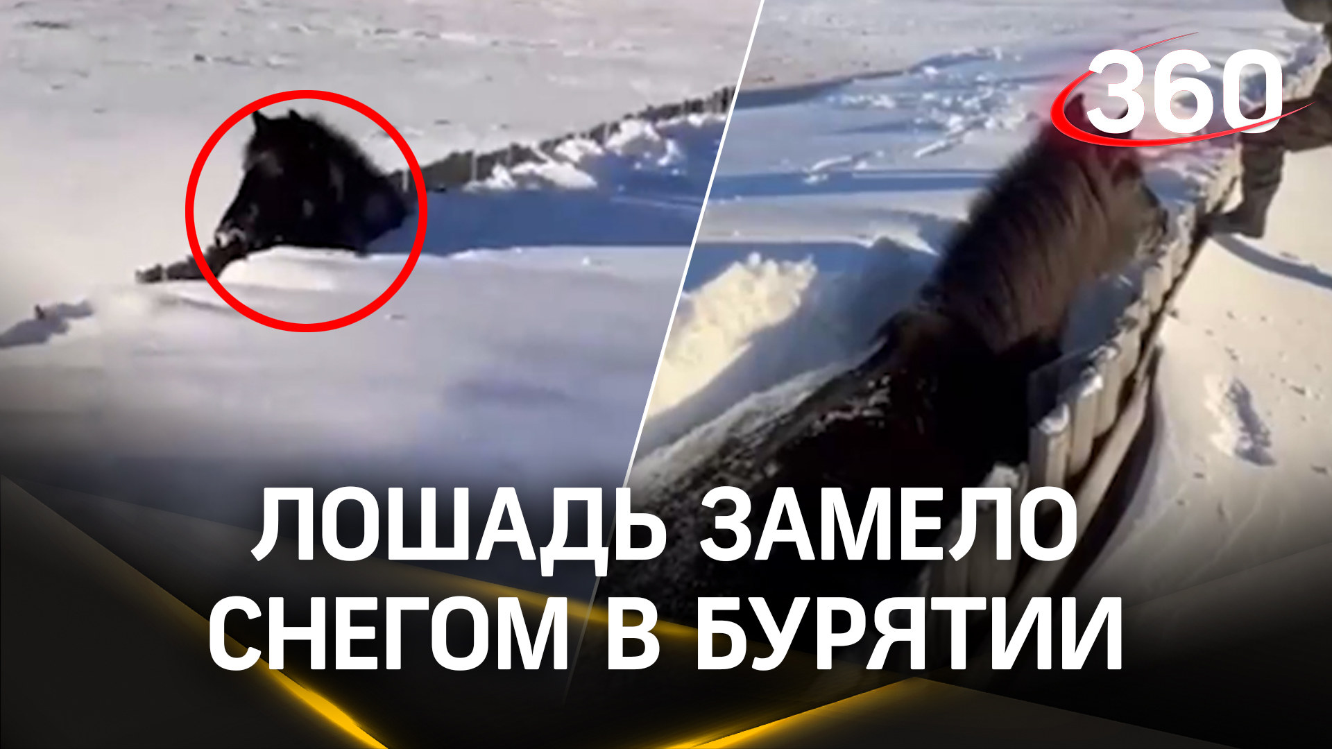 Снег на саянах