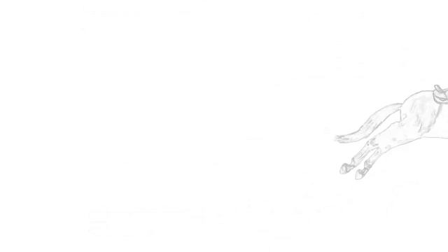 МОРОЗНАЯ | Завод имени Первой конной армии | Лошади на продажу | Будённовская порода лошадей смотреть онлайн