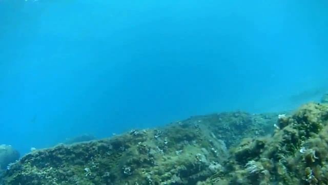 Diving in La Manga del Mar Menor (Spain) смотреть онлайн