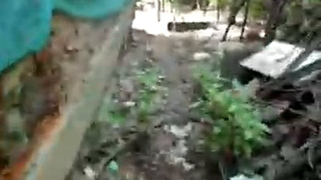 Больница имени Боткина в Санкт Петербурге