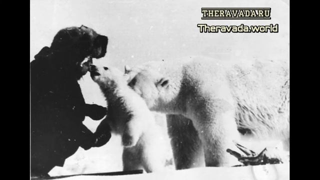 Аджан Сумедхо - Практика метты (Любящая Доброта) смотреть онлайн