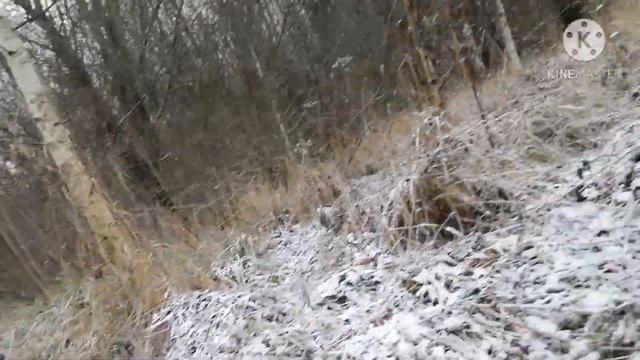 Охота КАПКАНАМИ на КУНИЦУ!!! "чудо поделка"!!! смотреть онлайн