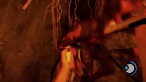 Стоит ли покупать Sons of the Forest?