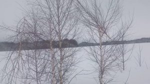 Кучность и мощность МЦ 21-12