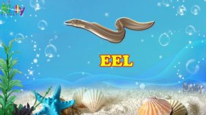 Learn Water Animals for Kids in English |Aquatic Animals Names with Pictures|Sea Animals|JollyPlane