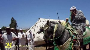 Maroc : Paysage - Tbourida (Fantasia) " Sidi Yahya El Gharb "