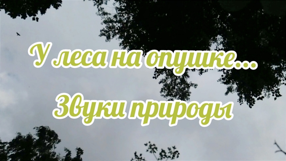 У леса на опушке/Звуки природы