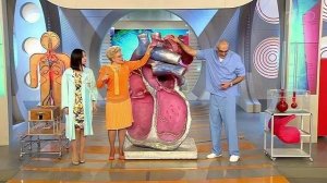 Коарктация аорты. Врожденный порок сердца. Жить здорово! Фрагмент выпуска от 10.08.2015