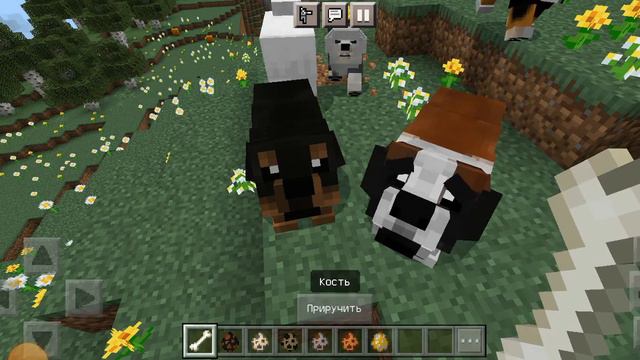 Мод на собак смотреть онлайн