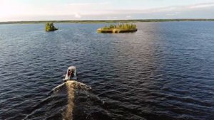 Нарвское Водохранилище, рыболовные места, рыбы в кадре нет! но вы сами угадайте сколько Я Поймал.