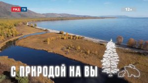 Природа БАМа