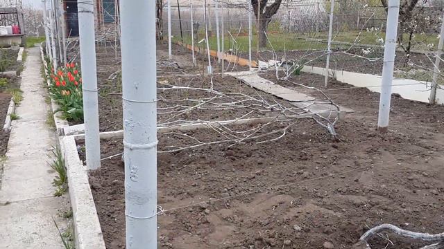 Дача 14 апреля 2019г смотреть онлайн