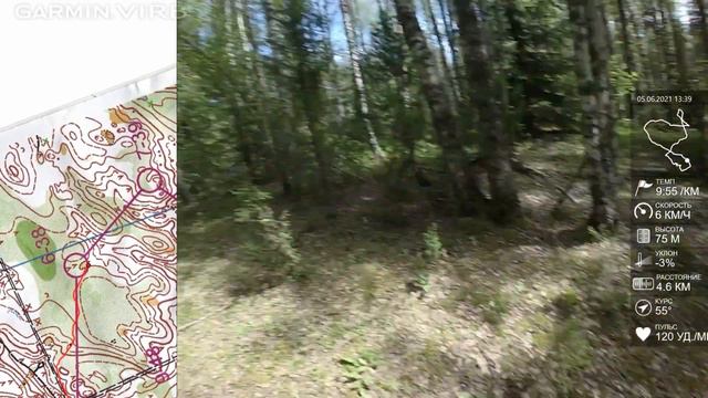 Спортивное ориентирование (headcam orienteering) - Кубок Пскова, Кукуевка - 05.06.21 смотреть онлайн