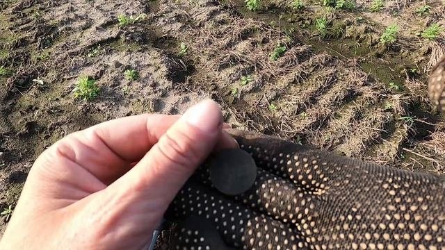 Полные карманы находок!