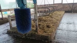 Положили маты в боксы
