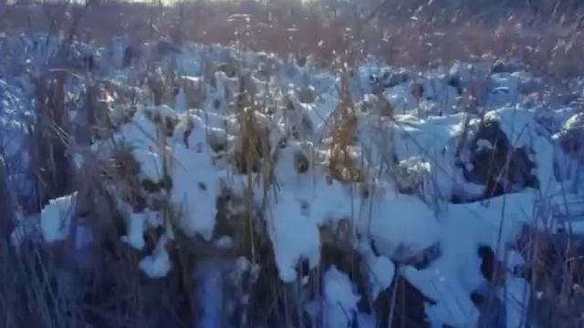 Зима в Караганде.Январь 2018 года.
