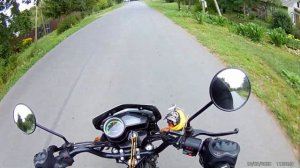 ПОКАТУШКА НА МОПЕДЕ АЛЬФА/ МАКСИМАЛЬНАЯ СКОРОСТЬ МОПЕДА АЛЬФЫ. #альфа #покатушки