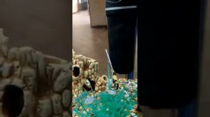 Санаторий ФРУНЗЕ г.СОЧИ.